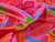Dressmaking Fabric | Patriza Viscose ECOVERO™ Satin - Pink | Fabric Godmother