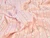 Dressmaking Fabric | Aubrey Floral Stripe Double Gauze - Pink | Fabric Godmother 