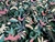 Dressmaking Fabric | Leo's Jungle Swimwear Jersey - Green | Fabric Godmother 