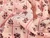 Dressmaking Fabric | Sadie Floral Double Gauze Cotton - Pink | Fabric Godmother