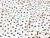 Dressmaking Fabric | Vivian Spot Viscose Crepe - Ivory | Fabric Godmother