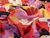 Dressmaking Fabric | Maje Floral Viscose Crepe - Multi | Fabric Godmother