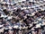 Dressmaking Fabric |Layla Wool Mix Coating - Black & Blue | Fabric Godmother 