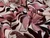 Dressmaking Fabric | Daphne Floral Jacquard Cotton Mix - Pink | Fabric Godmother