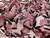 Dressmaking Fabric | Daphne Floral Jacquard Cotton Mix - Pink | Fabric Godmother