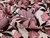 Dressmaking Fabric | Daphne Floral Jacquard Cotton Mix - Pink | Fabric Godmother