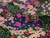Dressmaking Fabric | Cilla Viscose Crepe - Multi | Fabric Godmother 