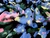Dressmaking Fabric | Primrose Floral Viscose Crepe - Multi | Fabric Godmother