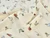 Dressmaking Fabric | Aperitivo Viscose Crepe - Ivory | Fabric Godmother