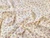 Dressmaking Fabric | Bella Cotton Flannel - Cream | Fabric Godmother 