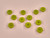 Haberdashery | Olive Buttons - 18mm - Green | Fabric Godmother
