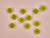Haberdashery | Olive Buttons - 18mm - Green | Fabric Godmother