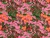 Dressmaking Fabric | Cilla Viscose Crepe - Green | Fabric Godmother 