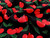 Dressmaking Fabric | Mon Cheri Viscose Crepe - Black | Fabric Godmother