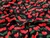 Dressmaking Fabric | Mon Cheri Viscose Crepe - Black | Fabric Godmother
