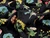 Dressmaking Fabric | Mae Floral Embroidered Cotton - Black | Fabric Godmother