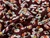 Dressmaking Fabric | Liberty Fabrics Tana Lawn® Flower Power - Burgundy | Fabric Godmother