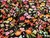 Dressmaking Fabric | Breana Floral Viscose Crepe - Black | Fabric Godmother