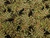 Dressmaking Fabric | Shuri Animal Viscose Crepe - Green | Fabric Godmother