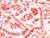 Dressmaking Fabric | Sampler Viscose & Linen - Ivory | Fabric Godmother