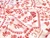 Dressmaking Fabric | Sampler Viscose & Linen - Ivory | Fabric Godmother