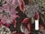 Dressmaking Fabric | Johanne Floral Metallic Jacquard - Black| Fabric Godmother 