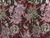 Dressmaking Fabric | Johanne Floral Metallic Jacquard - Black| Fabric Godmother 
