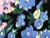 Dressmaking Fabric | Primrose Floral Viscose Crepe - Multi | Fabric Godmother