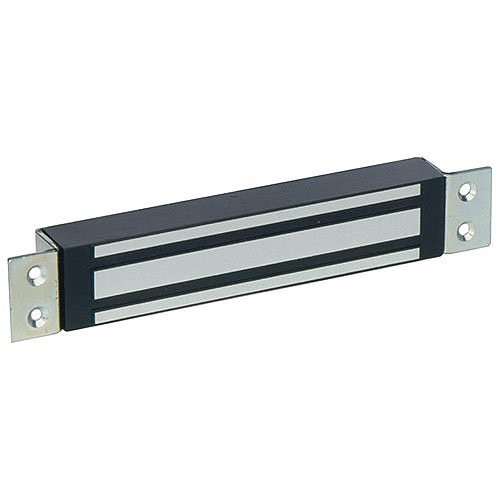CAMDEN | 600 lb Single Door Magnetic Lock with Adjustable Timer, Lock Sensor / Relay