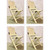 Transitional Cream Folding Style Set of Four Chairs