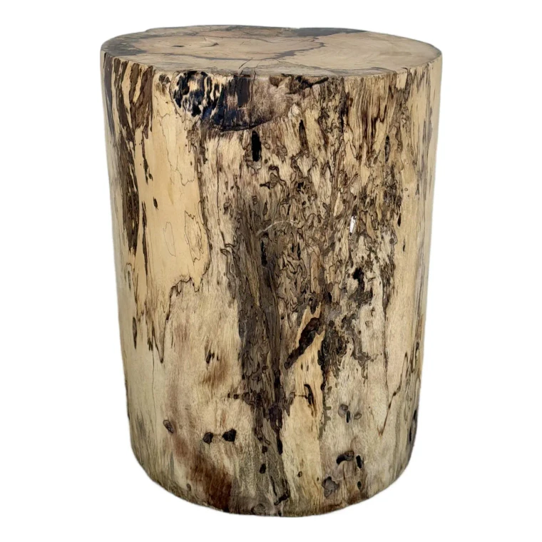 Organic Modern Natural Wood Accent Table/Stool
