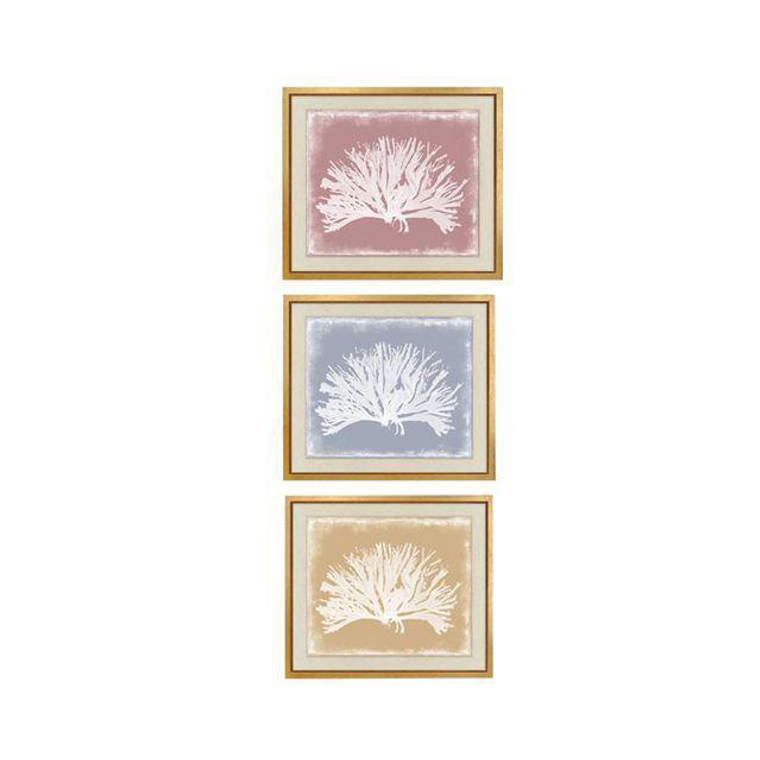 Trowbridge “Colored Corals” Prints - Set of 3