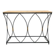 Organic Modern Large Wood and Metal Console Table