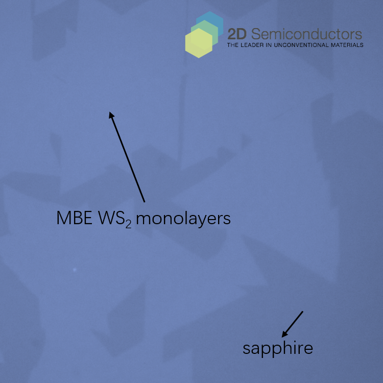 mbe-ws2-optical-images.png