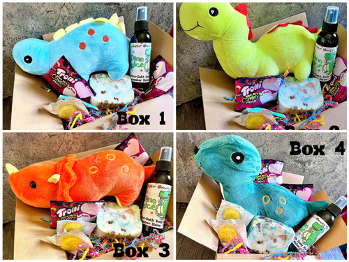 Dinosaur Boxes - Pick Your Style! 