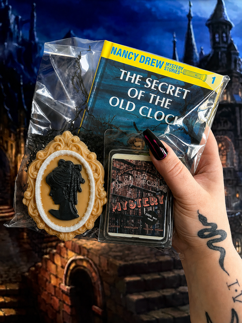 Nancy Drew Book Bag