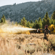 Where Is Bear Spray Legal? United States and Canada, Explained 