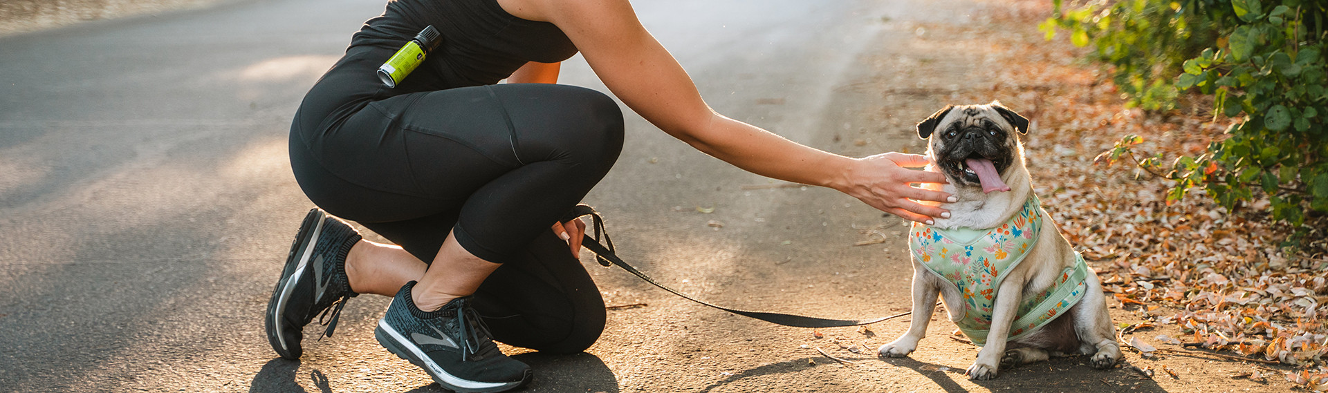 Canadian Dog Spray SABRE