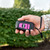 Stun gun in hand