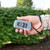 3-in-1 Stun Gun Safety Tool with Personal Alarm and Flashlight