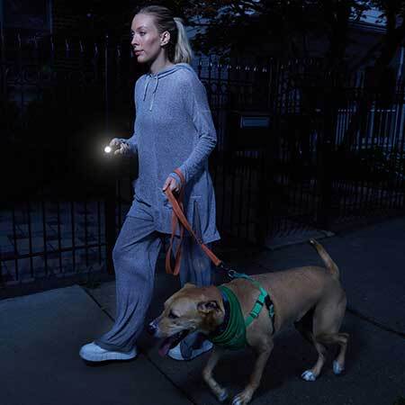 girl walking dog with stun gun