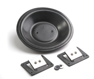 Spares Kit - Viton - For Models 217, 220, 254, 256 & 258 Pumps (114V-18-220) Spares Kit - Viton - For Models 217, 220, 254, 256 & 258 Pumps (114V-18-220)