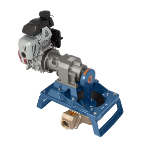 120 Single Diaphragm Gas Pump Skid Mount - Bronze (120GLB-200) 120 Single Diaphragm Gas Pump Skid Mount - Bronze (120GLB-200)