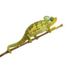 High Casque Chameleon (Chamaeleo hoehnelii)