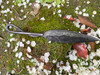 Forged by hand with a single piece of carbon steel, our striking Hedgewitch's Athame is a unique expression of the witch's ritual knife, displaying a hammered leaf across the front of the natural black blade.