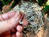 Clear Quartz Double Terminated Polished Crystal Points for Crystal Grids, Energy Amplification, Meditation, Altar Decor, Wicca, Witchcraft