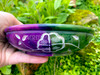 Tree of Life Handcarved and Dyed Soapstone Offering Bowl for Altar Offerings, Sacred Space, Smudge Bowl, Blessings Bowl, Burning Incense