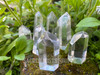 Several quartz crystal standing generator points rest on a mossy covered brick with greenery in the background showing variations in size, shape, and clarity.