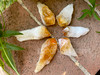 Citrine XL Crystal Point for Solar Plexus Chakra, Personal Power, Creativity, Positivity, Intellect, Crystal Healing, Grids, Meditation