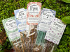 Elementals Incense Collection Curated for Elemental Magick, Sacred Space, Ritual, Spell, Meditation, Power, Energy, Witchcraft, Wicca
